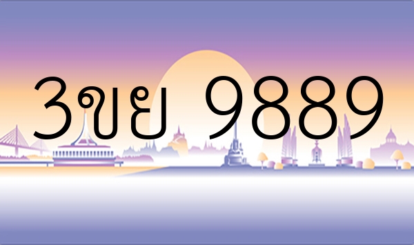 3ขย 9889